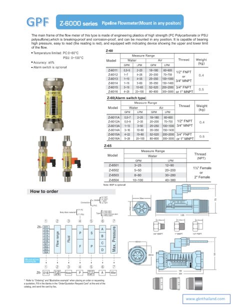 FLOWMETER Z-6000 SERIES [GPF]